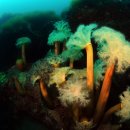 인구 리조트 이미지