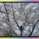 소요산충남식당 이미지