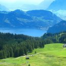 초록풍경 이미지