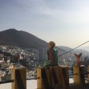 2024044 | 1박 2일 부산여행 가볼만한 곳: 국제시장, 감천문화마을,태종대,해운대