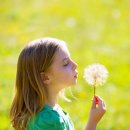 배곧누리의원 이미지