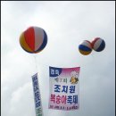 조치원_고려대학교 정문 이미지