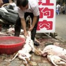 영상농장 이미지