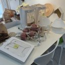 삼죽초교병설유치원 이미지