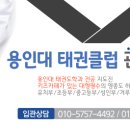 용인대 태권클럽 태권도장 이미지
