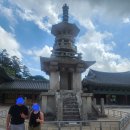 별빛애견펜션 | 애견동반숙소 경주 감포 별빛한옥펜션 가족여행 후기