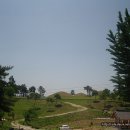합천이모