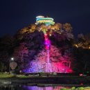 화순 하니움문화스포츠센터 세미나실2 | 🌸 전남 야경 명소, 화순 꽃강길 음악 분수 시간 및 주차 정보 (애견 동반 산책 코스 추천)