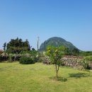 들꽃정원민박 이미지