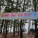 솔밭쉼터 이미지