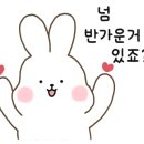 호커스포커스로스터스 이미지