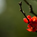 흙의사람들 민박 이미지