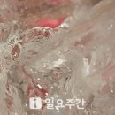 스타벅스 자갈치역점 이미지