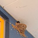 세븐일레븐 상주무양드림점 | 현장실습 4주차 + 마지막