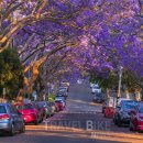 (주)동주항공여행사 이미지