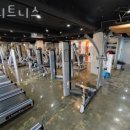 휴 휘트니스 이미지