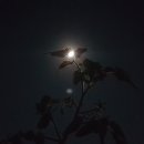 (주)한가위 이미지