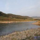 단양 쏘가리 하덕천 가대료 용진리 조행기