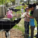 연천목장 이미지