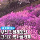 씨유부천진달래마을점 | 4월 봄나들이 명소, 부천 진달래동산 가면 들러야 하는 곳! 복사골카페