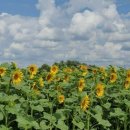 윤정농장 이미지