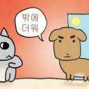 [약2년간의 🍀힐링폴댄스🍀 수강후기] 힐폴이 있어서 완전 럭키비키잔아〰️〰️〰️
