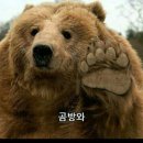곰방와 이미지