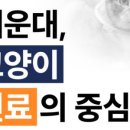 코아동물병원 이미지