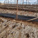 충주시농업기술센터 이미지