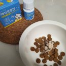 제이동물병원 이미지