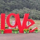 (주)예가 이미지