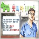 더바름동물병원 이미지