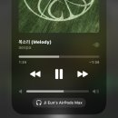 A Love Letter to February: 막학기 개강 준비, HSKK, 봉사활동, 염색하고 파마하고