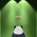 바오김밥 이미지