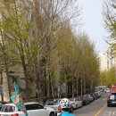 압구정로 이미지