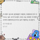 이 고양이 진짜 순하다 이미지