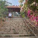 포시즌세탁소 | 여행 코스 (2일차) _ 판랑투어(양농장, 사막투어, 포시즌레스토랑, 쯩선사원, 포롱자라이사원), 강남...