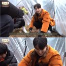 인투고