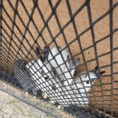 한우드림 이미지