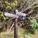 큰엉(남원관광지구) | 제주도 일주일 살기 서귀포 가볼 만한 곳 정방폭포 남원큰엉 해안경승지 한반도 포토존