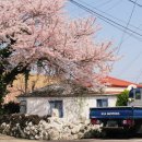 탑1리경로당 네이버블로그