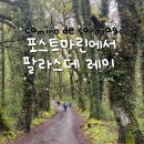 또와세탁 | 팔라스데라이 Bar Trisquel Albergue Outeiro 사립알베르게 추천후기 [나홀로 산티아고 순례길 프랑스길]