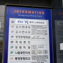 나팔꽃한의원 | 울산 병영 한의원 나팔꽃한의원