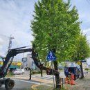 은행나무 주유소 이미지