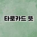 그림으로 알아보는 타로 이미지