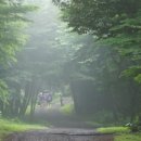 남원읍-16 이미지