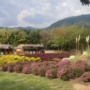 봉자마켓 이미지