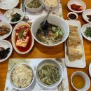 산수유길사이로 티스토리