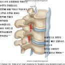 국민체조... 하지 맙시다~~!!!! 이미지