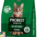 베스트몰스토어